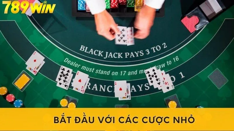 Bắt đầu với các cược nhỏ