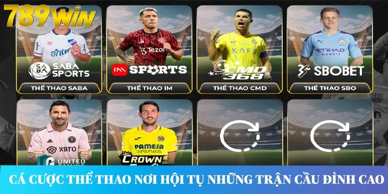 Cá cược thể thao nơi hội tụ những trận cầu đỉnh cao