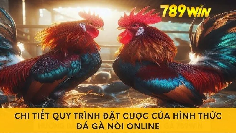 Chi tiết quy trình đặt cược của hình thức đá gà nòi online