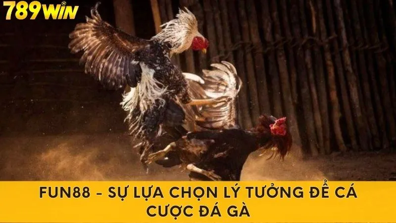 Fun88 - Sự lựa chọn lý tưởng để cá cược đá gà