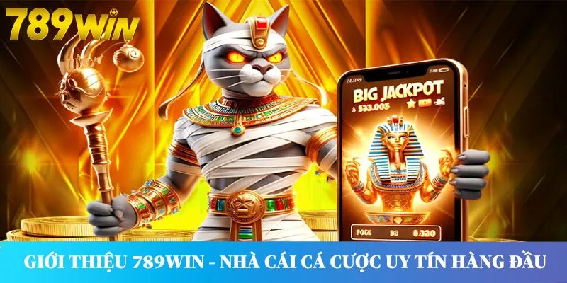 Giới thiệu 789win - Nhà cái cá cược uy tín hàng đầu châu Á