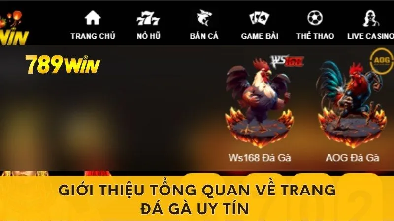 Giới thiệu tổng quan về trang đá gà uy tín 