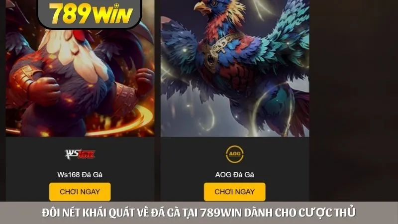 Đôi nét khái quát về đá gà tại 789win dành cho cược thủ