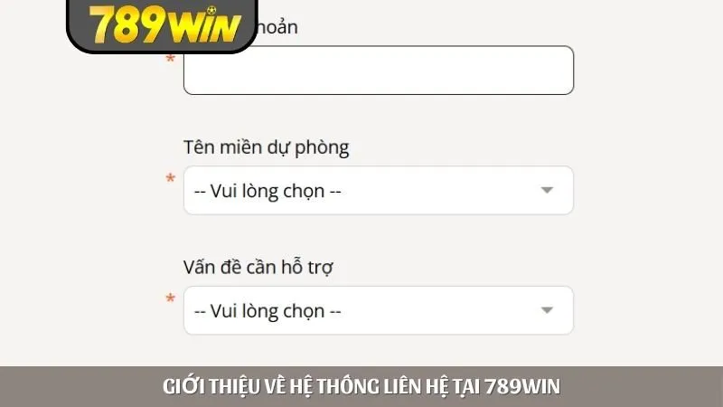 Giới thiệu về hệ thống liên hệ 789WIN