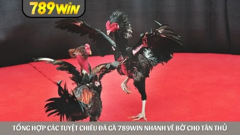 Tổng hợp các tuyệt chiêu đá gà 789win nhanh về bờ cho tân thủ