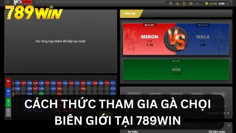 Cách tham gia gà chọi biên giới