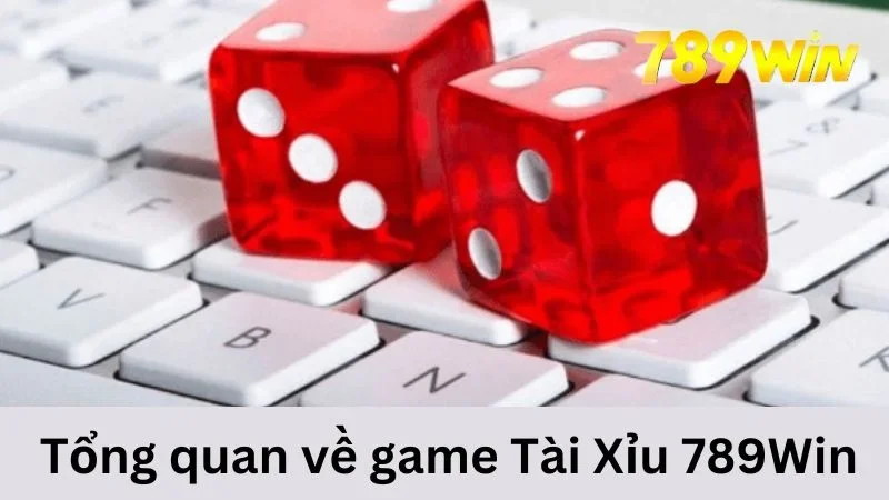 Tổng quan về Tài Xỉu 789WIN