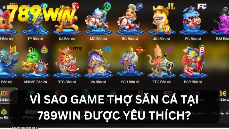 Lý do lựa chọn 789WIN
